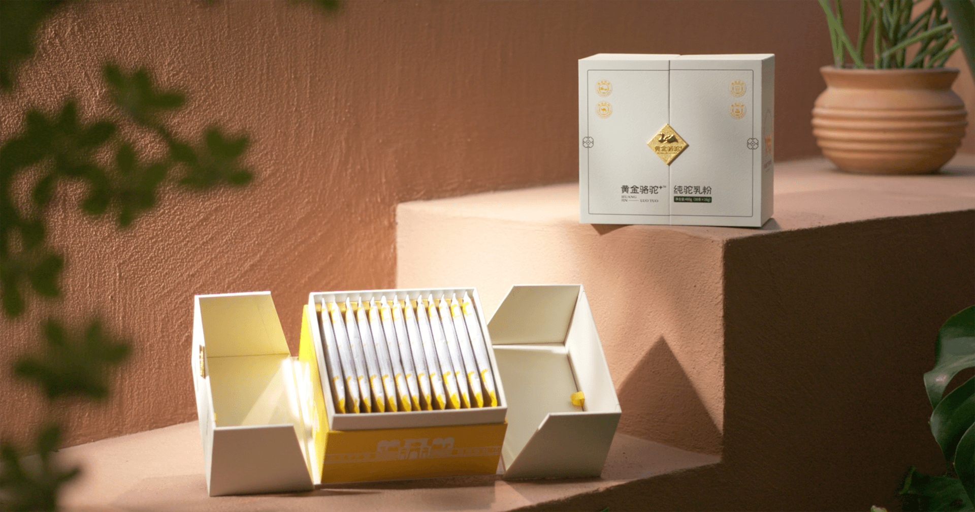 定位小众高端乳粉，jinnianhui今年会推出驼奶品牌“黄金骆驼+”，角逐乳品新市场！